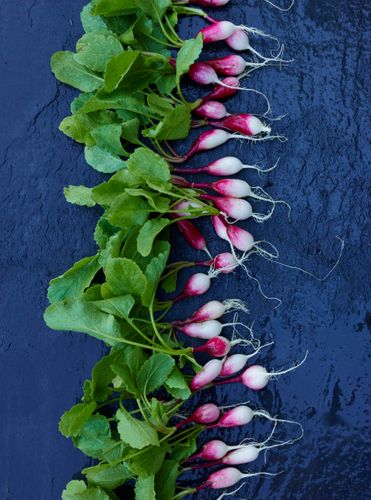 French Breakfast Radish A130709_RootToLeaf_Spring2014.