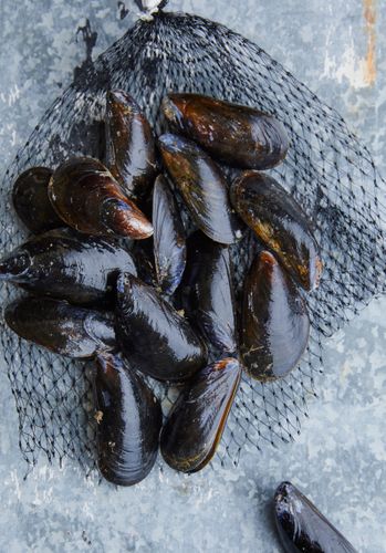 A171104_83_RawMusselsIncidental_15596.jpg