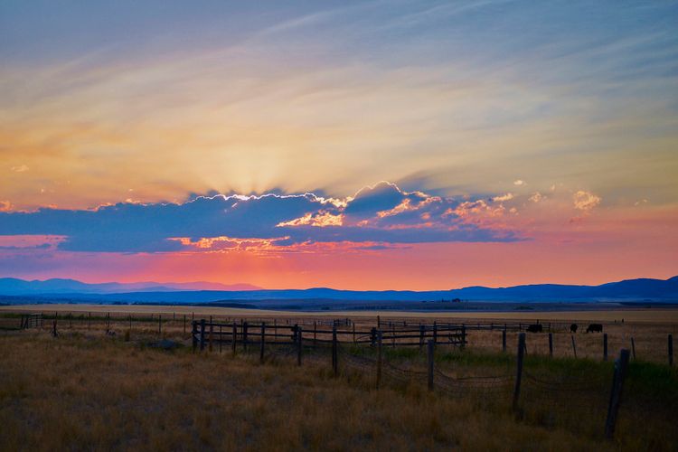 Dinner Party on Heather Chontos Property  A120730_HeatherChontos_Montana_109207
