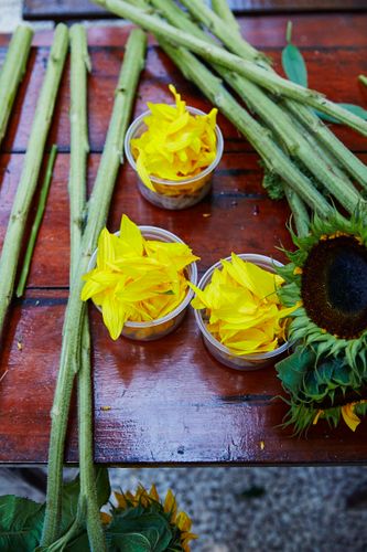 Chef Jamie Flowering Arranging   Williams-Sonoma Open Kitchen   Hartwood RestaurantTulum Mexico 2016