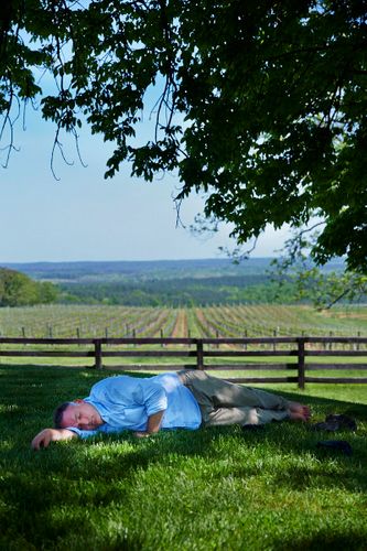 Chef Jose Andres(light blue shirt) at Blenheim winery. A140507_Jose_Andres_VA_FW