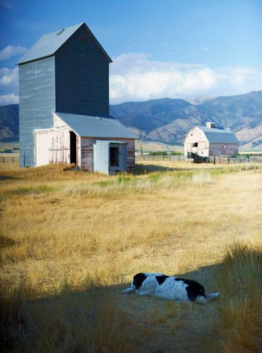 Dinner Party on Heather Chontos Property A120730_HeatherChontos_Montana_109207