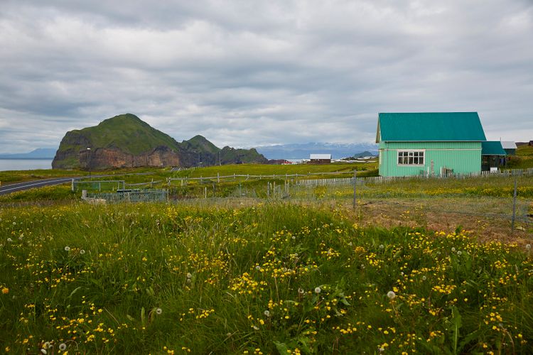 A150713_Iceland Victoria Eliadottir. Westerman Islands
