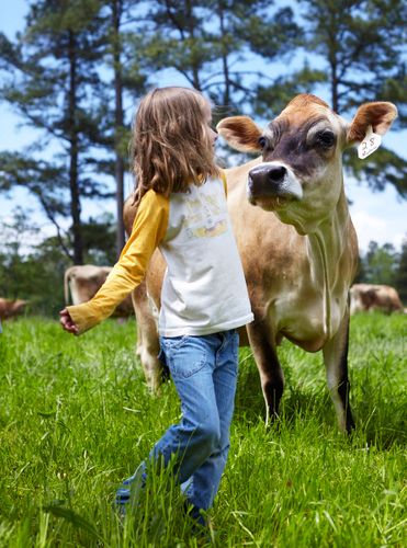 Cooking in the moment, Andrea Reusing. Clarkson Potter © John Kernick