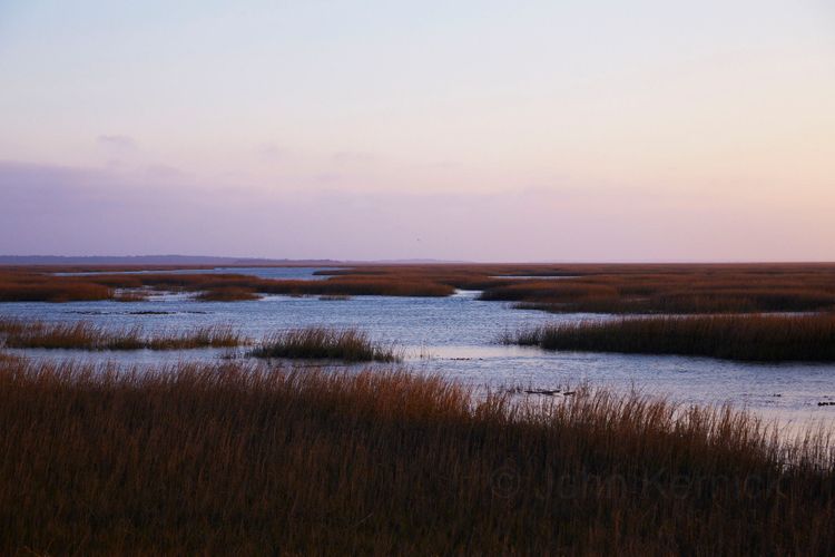 Marshlands on Hwy 80 en route to Tybee Island A130127 Jamie Deen Cookbook 2013