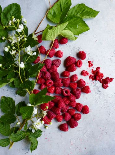 Spring Raspberry Profile. A130709_RootToLeaf_Spring2014