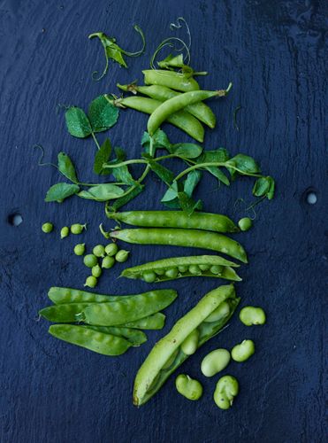 Peas, Favas, Pea Tendrils, Snow, sugar snap, English. A130709_RootToLeaf_Spring2014.