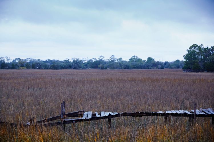 Stephen Alongside Seth Solomon Shucking Oysters At Crab Creek A130709 Root To Leaf Winter 2013