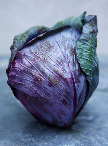 Cooking in the moment, Andrea Reusing. Clarkson Potter © John Kernick