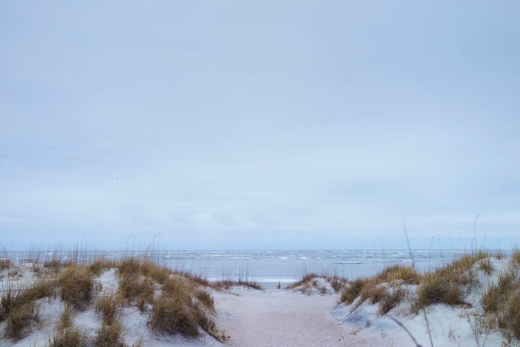 Tybee Town & Stephen Beach Scenics A130709 Root To Leaf Winter 2013
