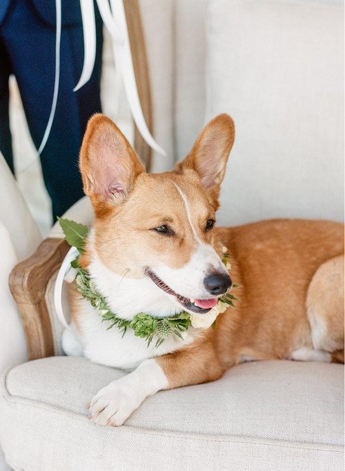 Screen Shot 2019-08-25 at 5.01.03 PM.png