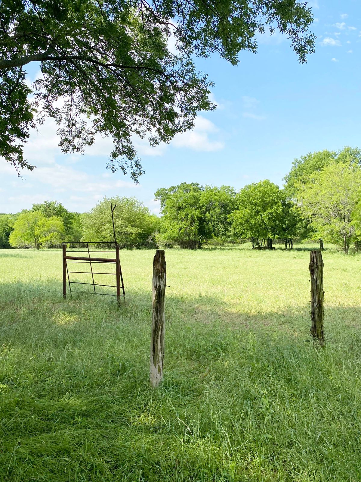 Sai Farm Ranch Photo Video Shoot Location Dallas 26.jpg