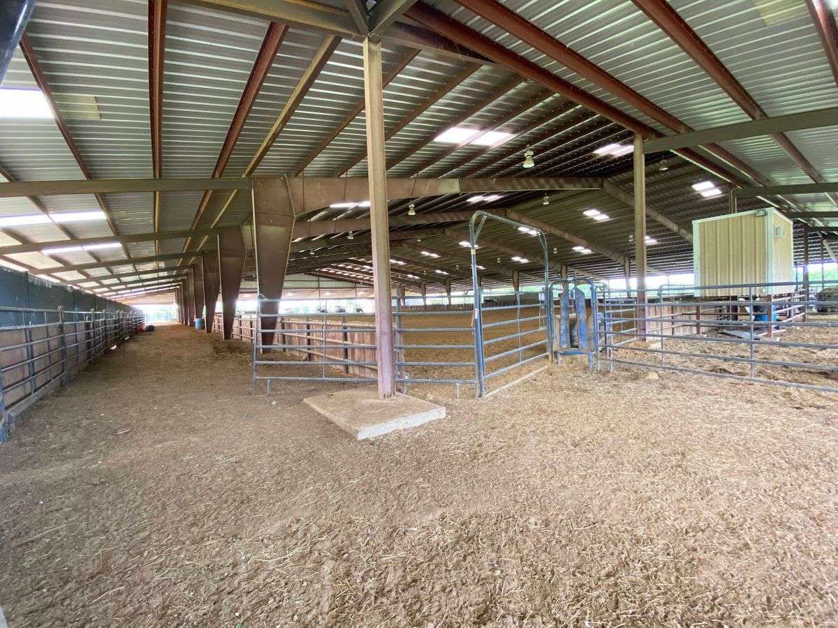 Sai Farm Ranch Photo Video Shoot Location Dallas 06.jpg