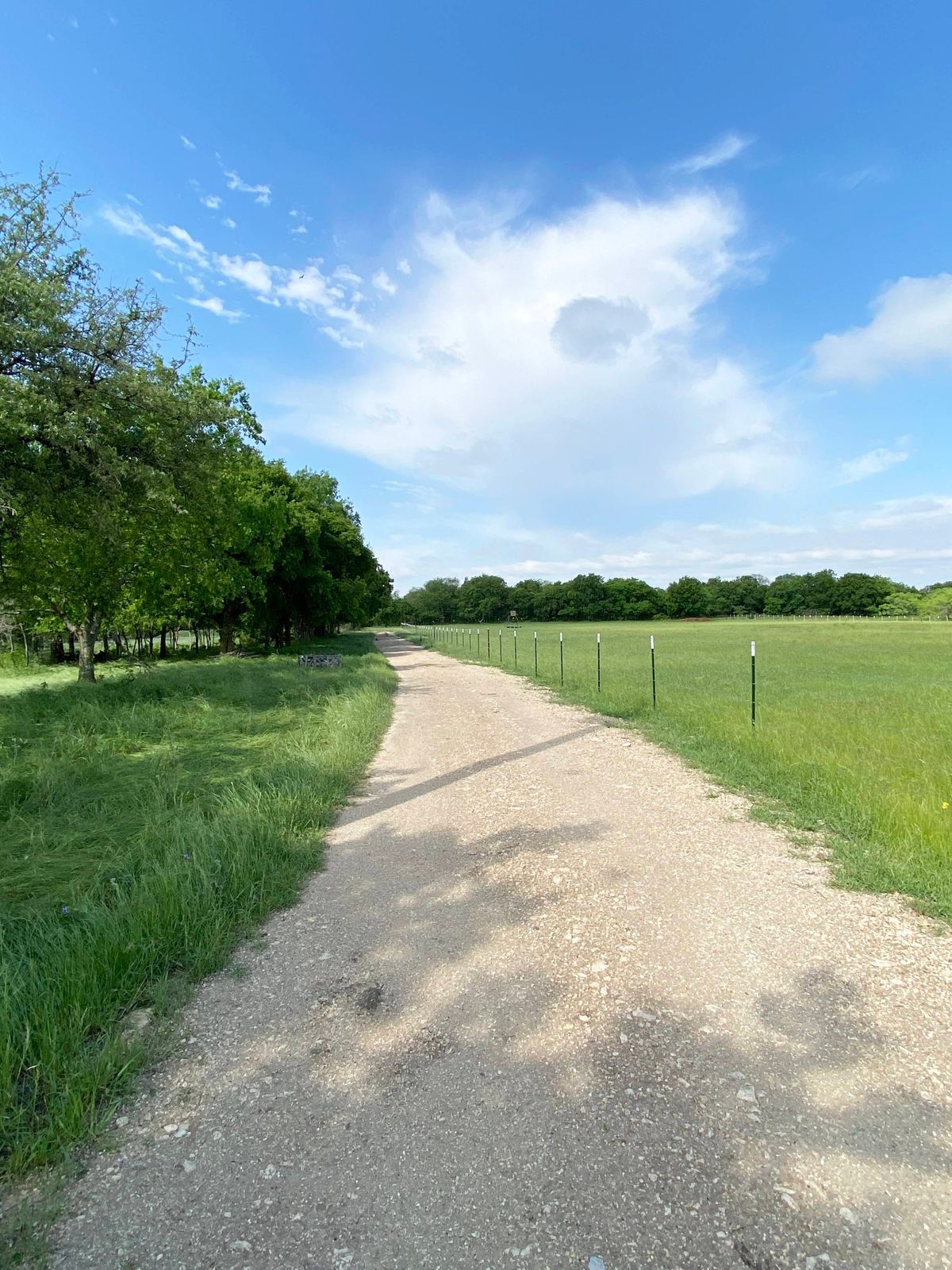 Sai Farm Ranch Photo Video Shoot Location Dallas 13.jpg
