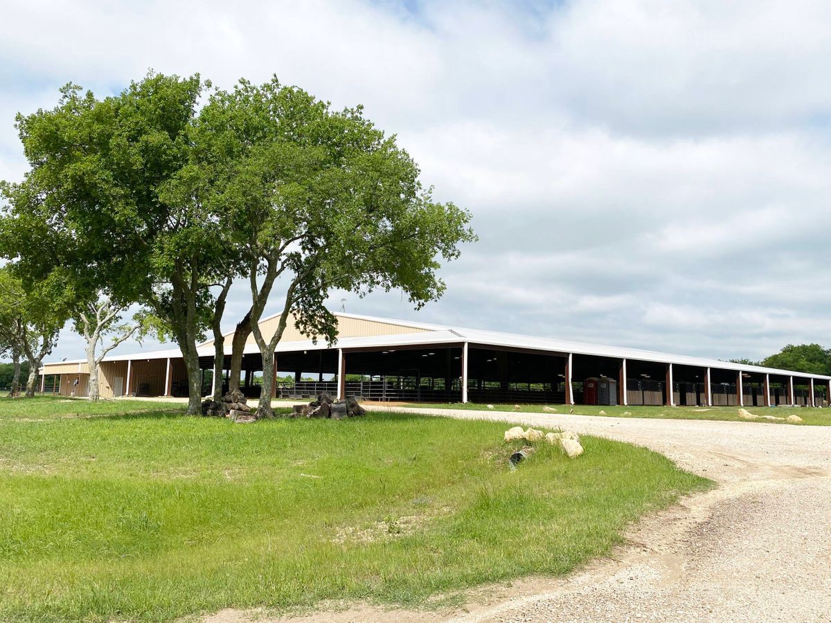 Sai Farm Ranch Photo Video Shoot Location Dallas 49.jpg