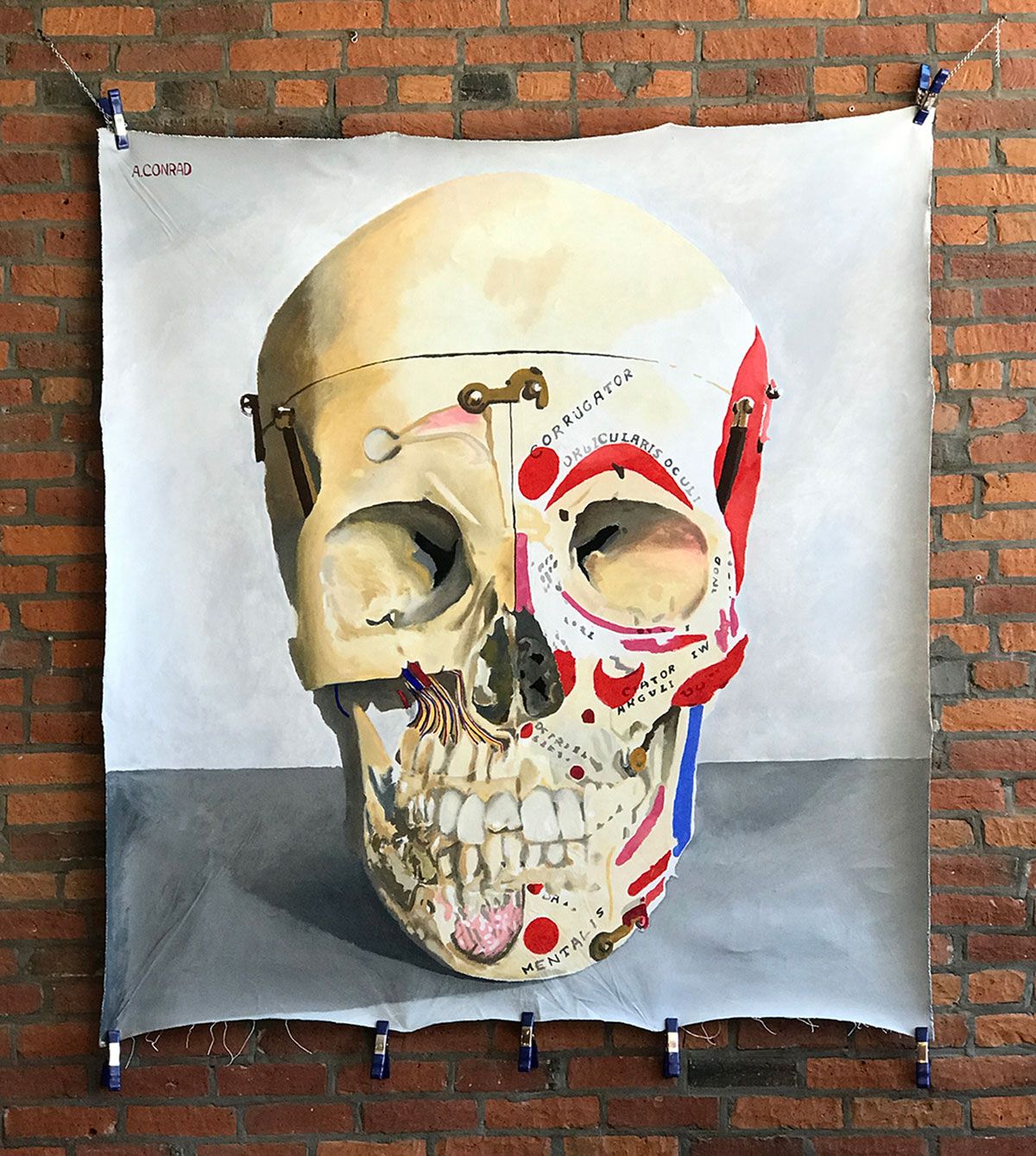 Skull - Acrylic and Gouache on Canvas
