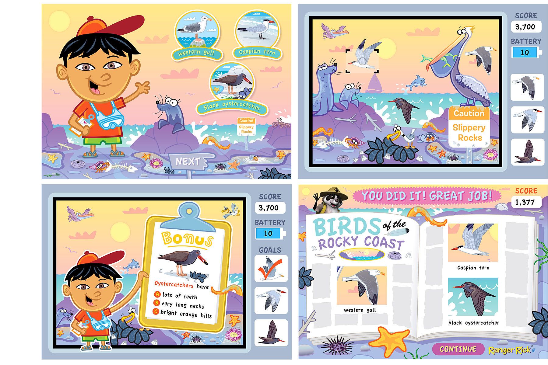 Click the Birdie - Rock Coast Habitat