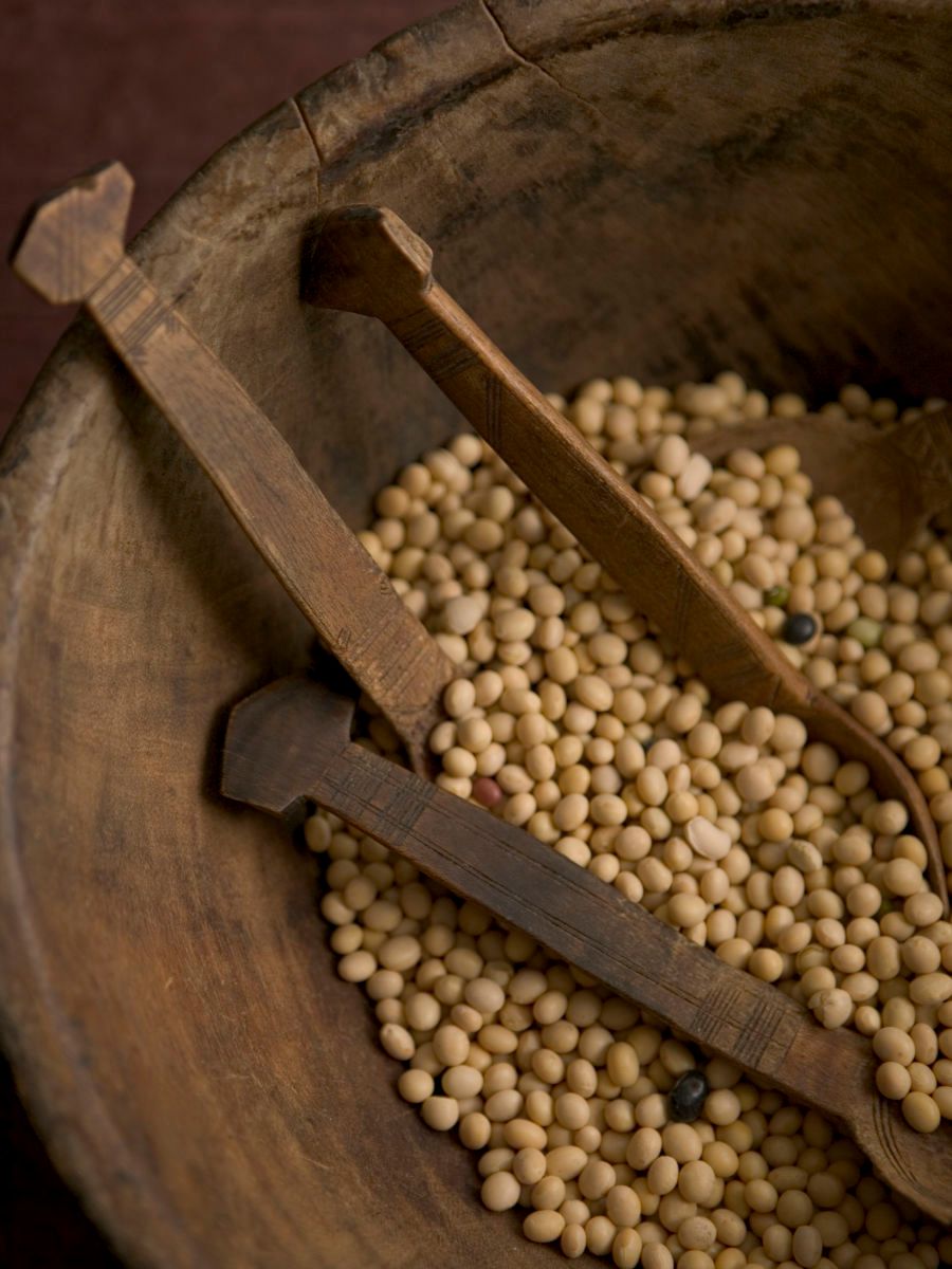 1beans_bowl_spoons_top