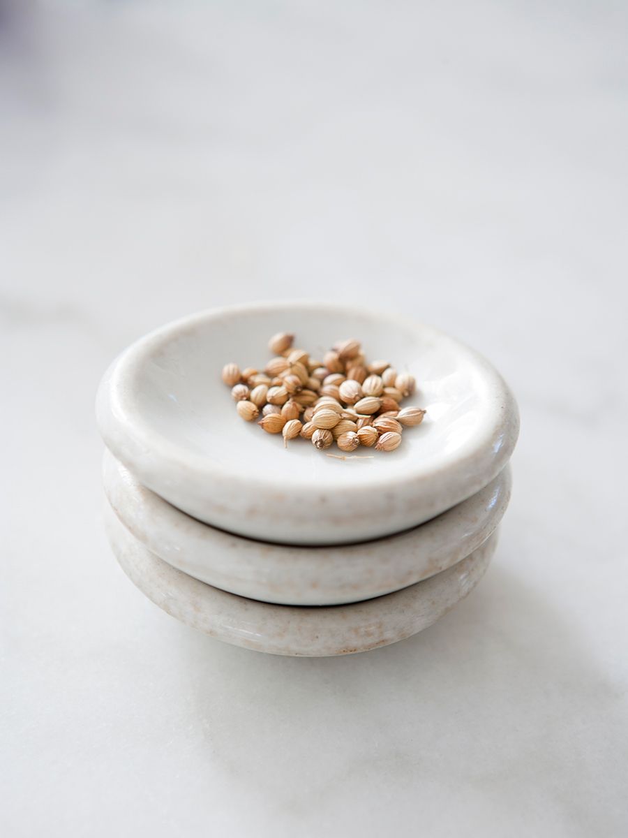 1fht_corriander_seeds_web