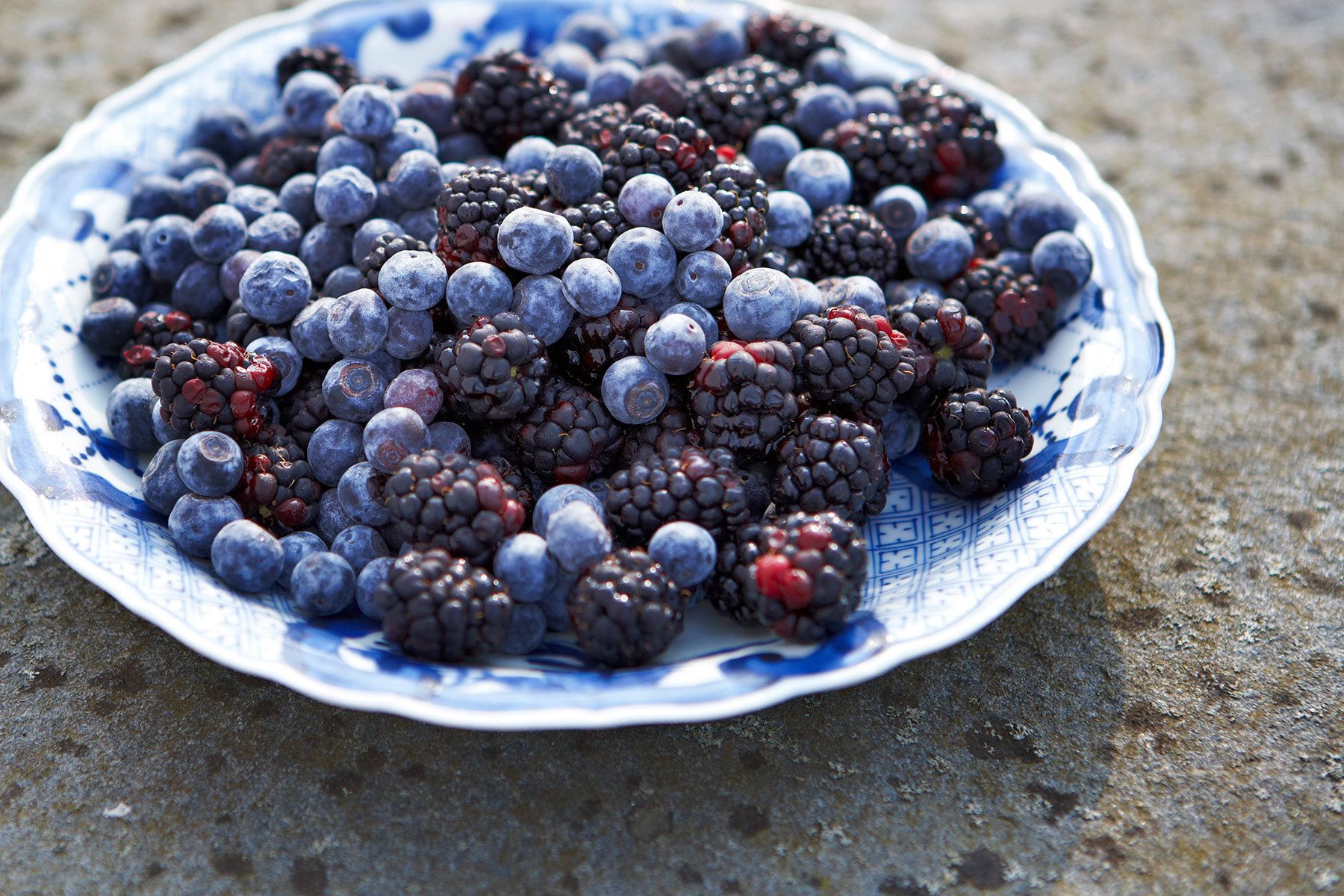 1fht_blueberries_web