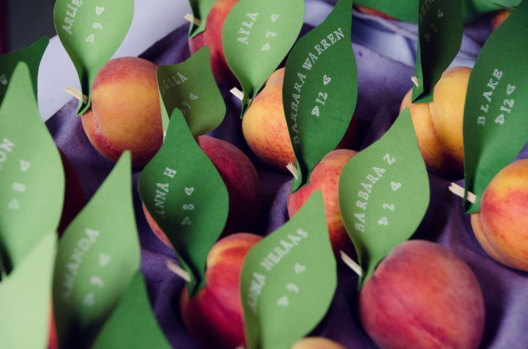 1atlanta_wedding_photographer_leahandmark_0061