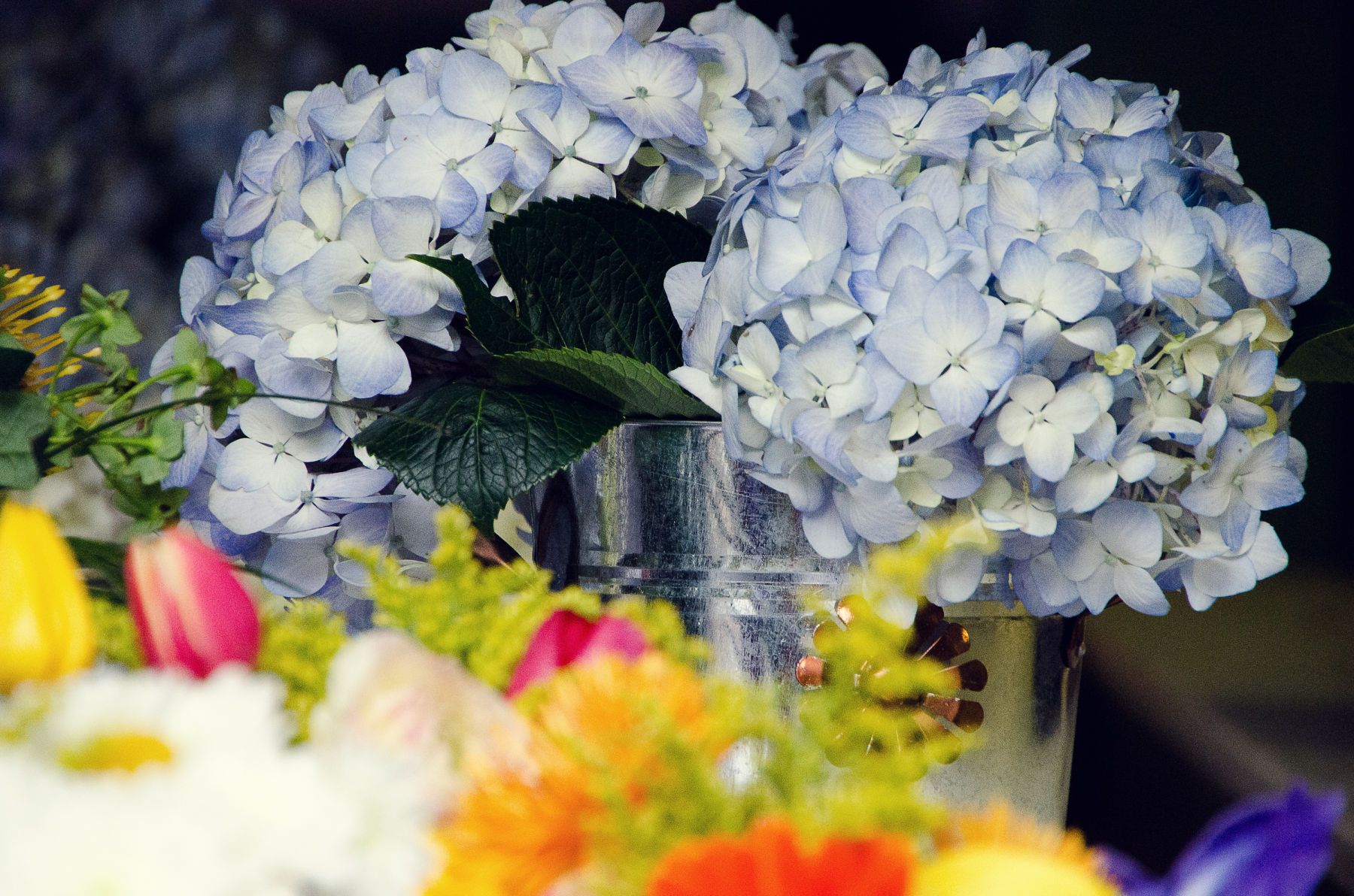 1atlanta_wedding_photographer_leahandmark_0082