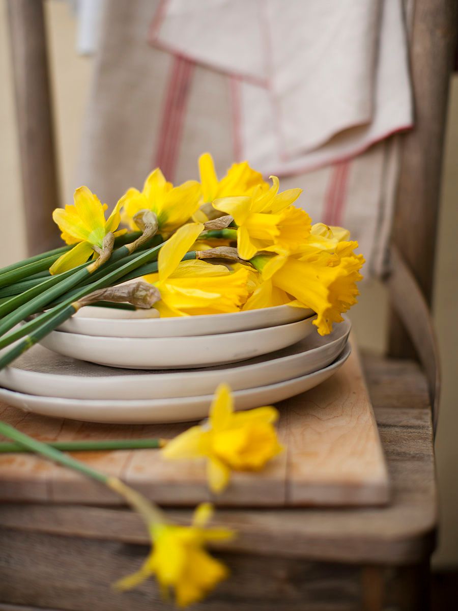 1fht_daffodils_900x1200