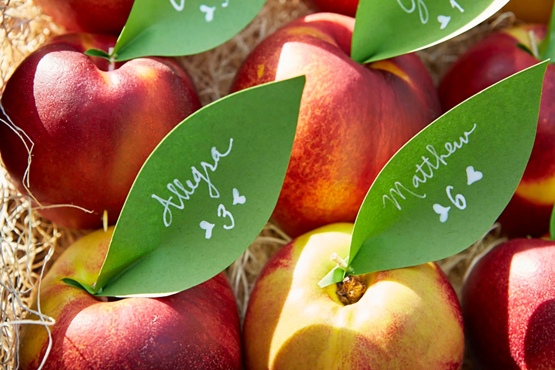 1jb_lucky_clover_peaches_h