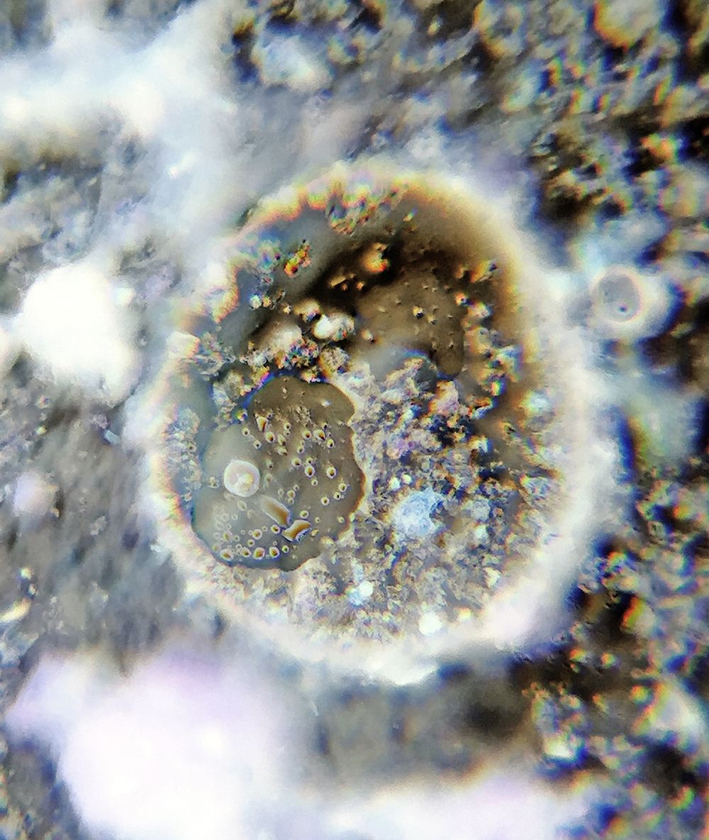 8 x 10 inches Cross-section (Sometimes They Break)