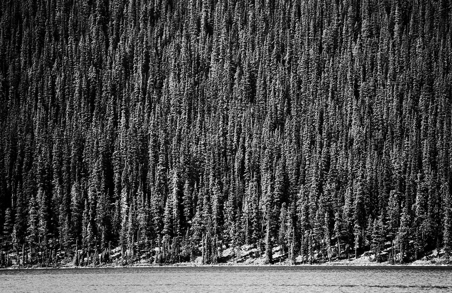 COLIN ART -578(1)WEB.JPG