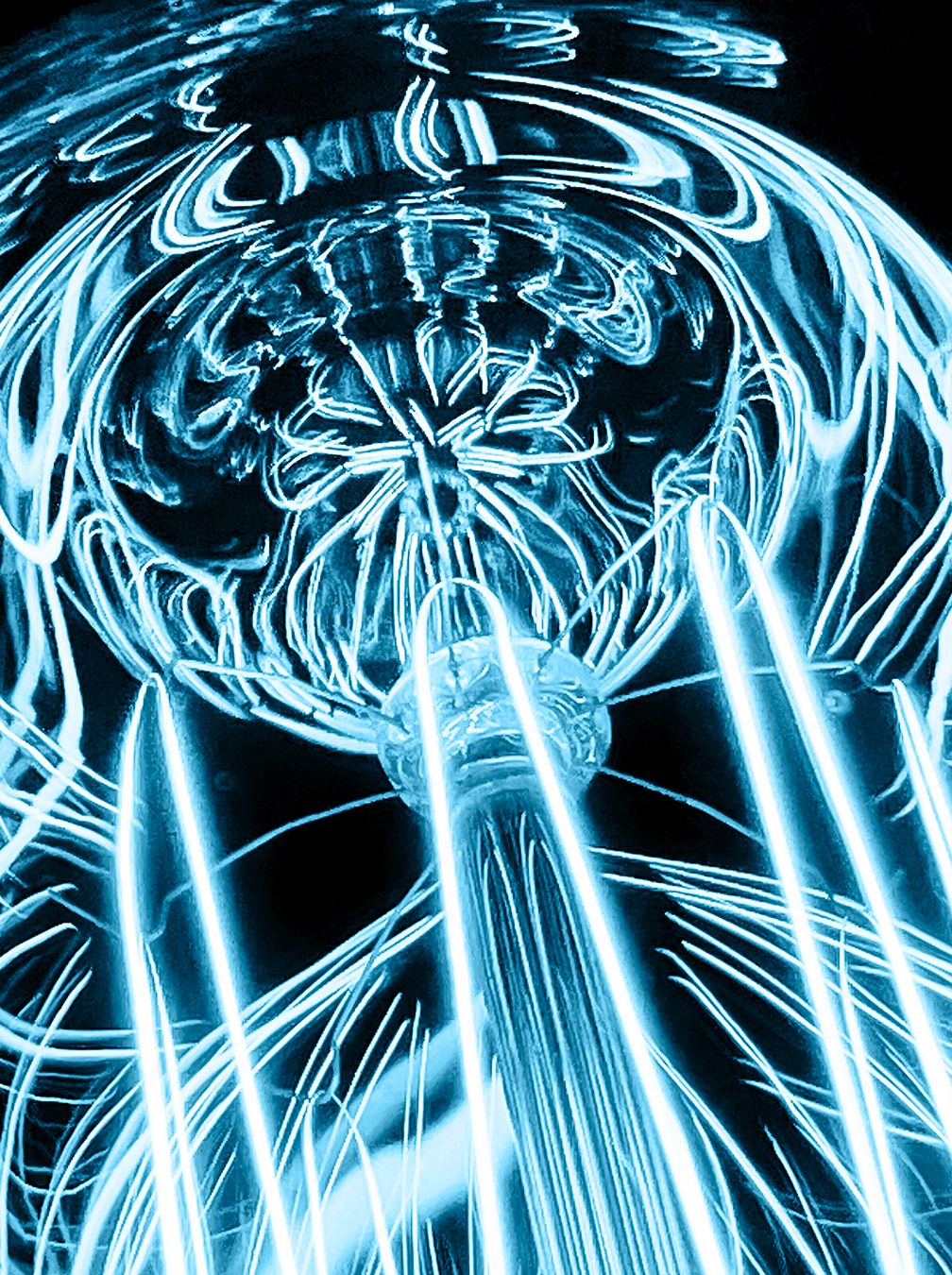 SPOT LIGHT INSTAGRAM 288k.JPG