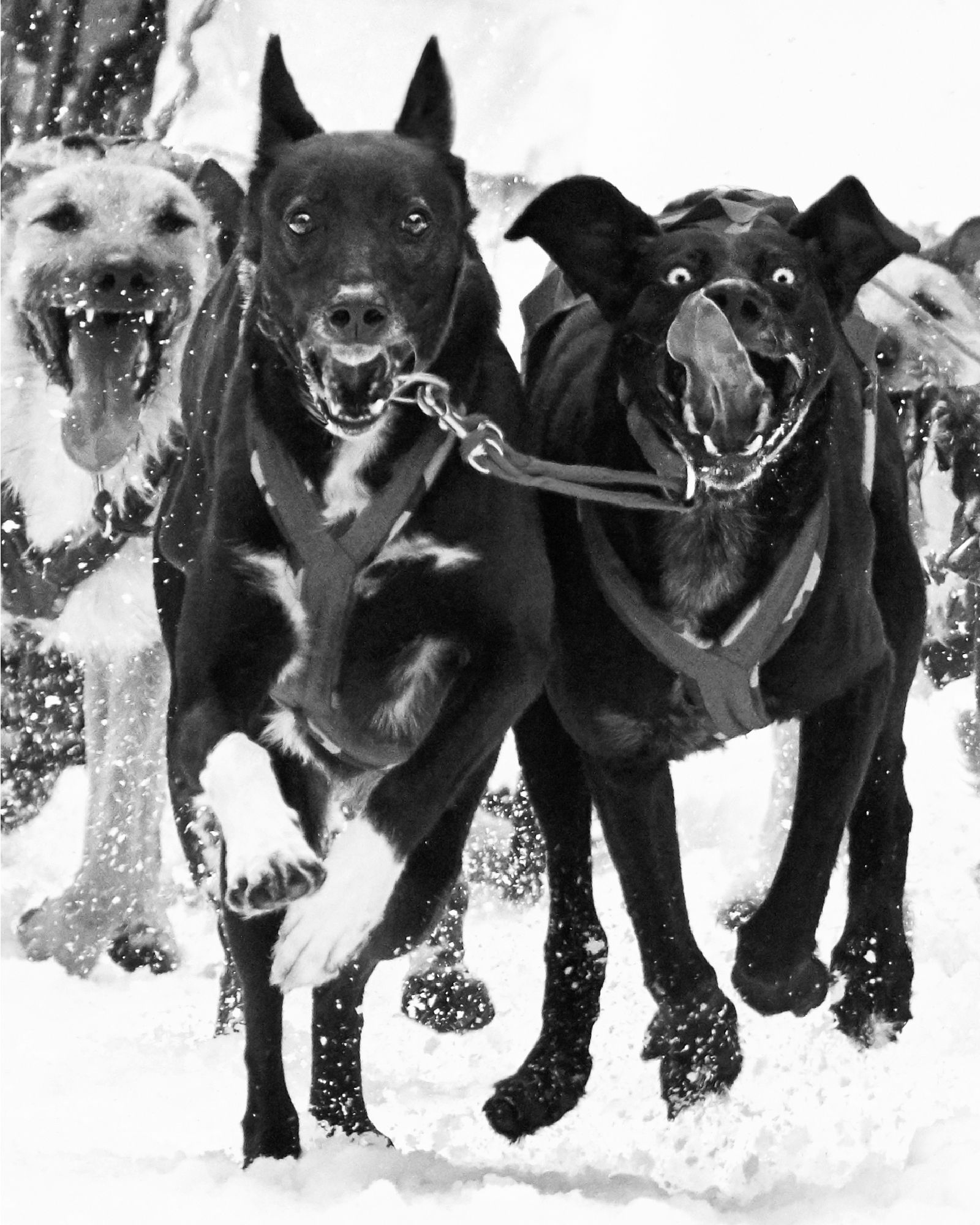 Colin Erricson Photography  - 031.JPG