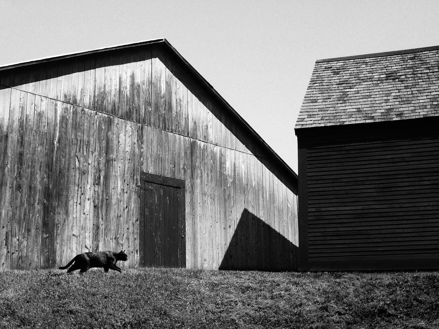 COLIN ART -486 (2) WEB.JPG