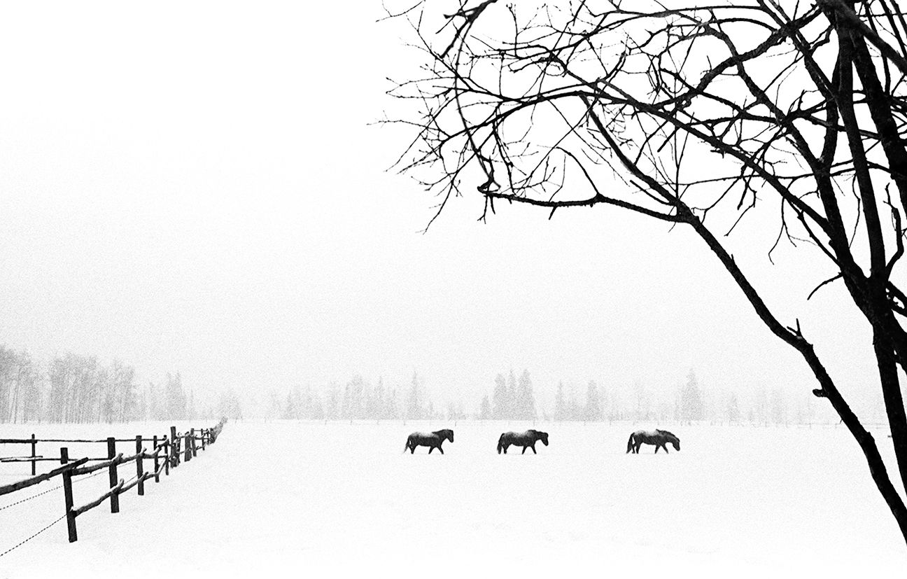 COLIN ART -042(1) WEB.JPG