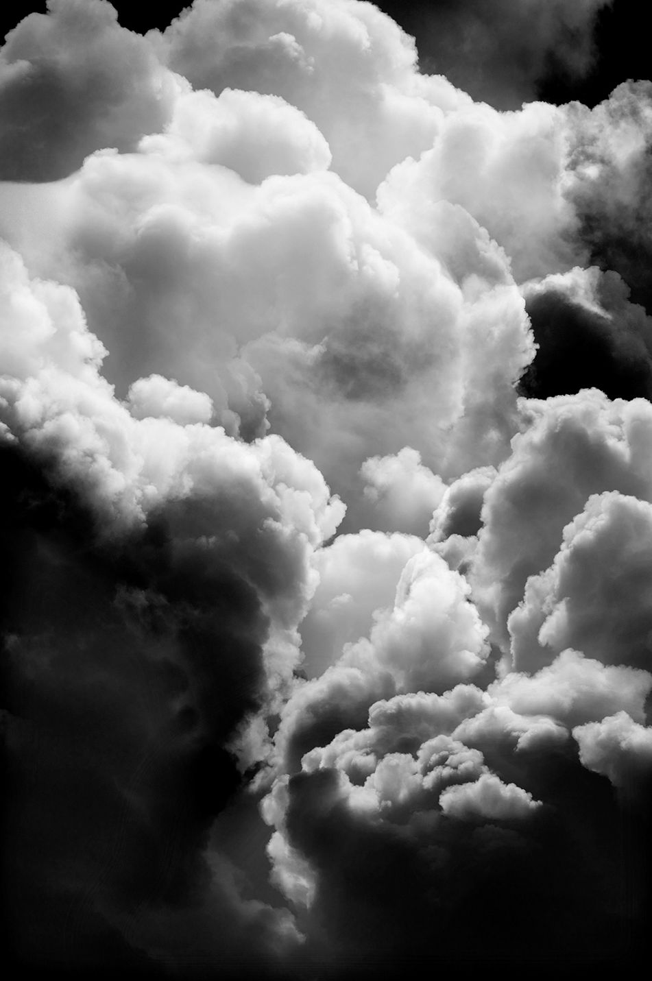 ContactSheet-321 B 137WEB.JPG