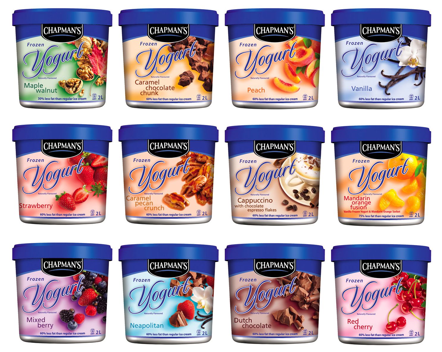 ChapmanGroup copy.JPG