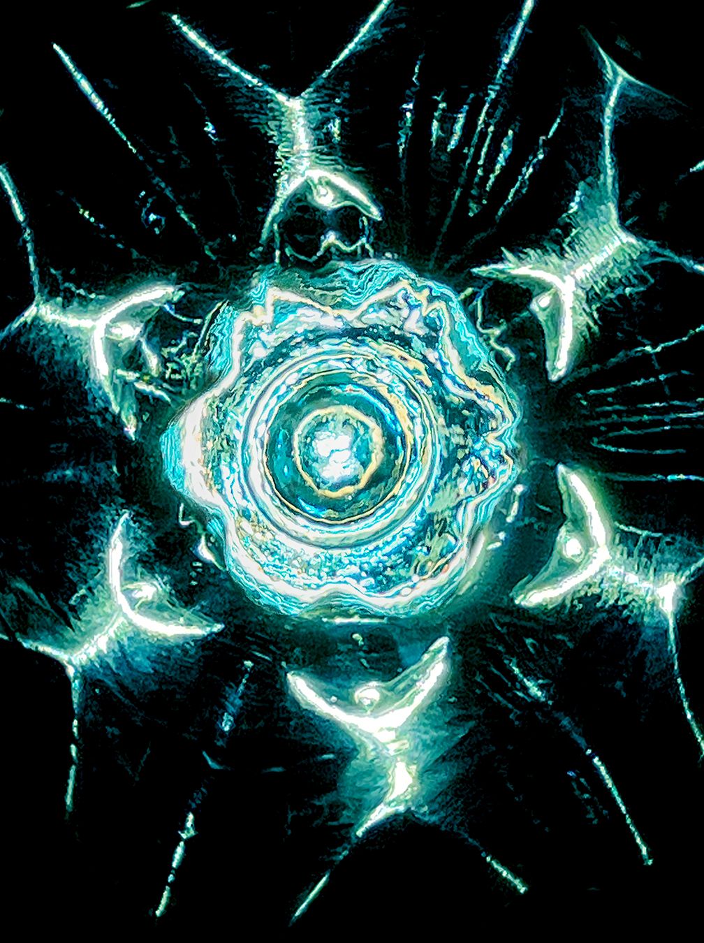 SPOT LIGHT INSTAGRAM 95.JPG