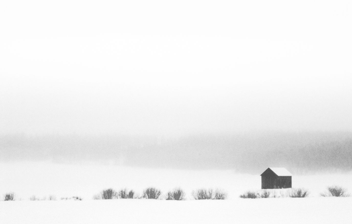 COLIN ART -197A (1)WEB.JPG