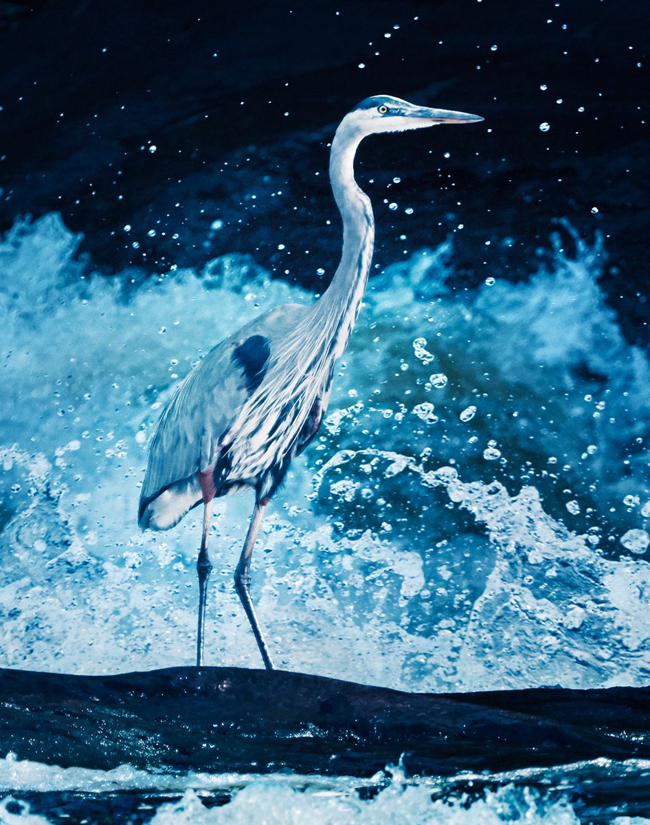 ColinErricson 12.JPG