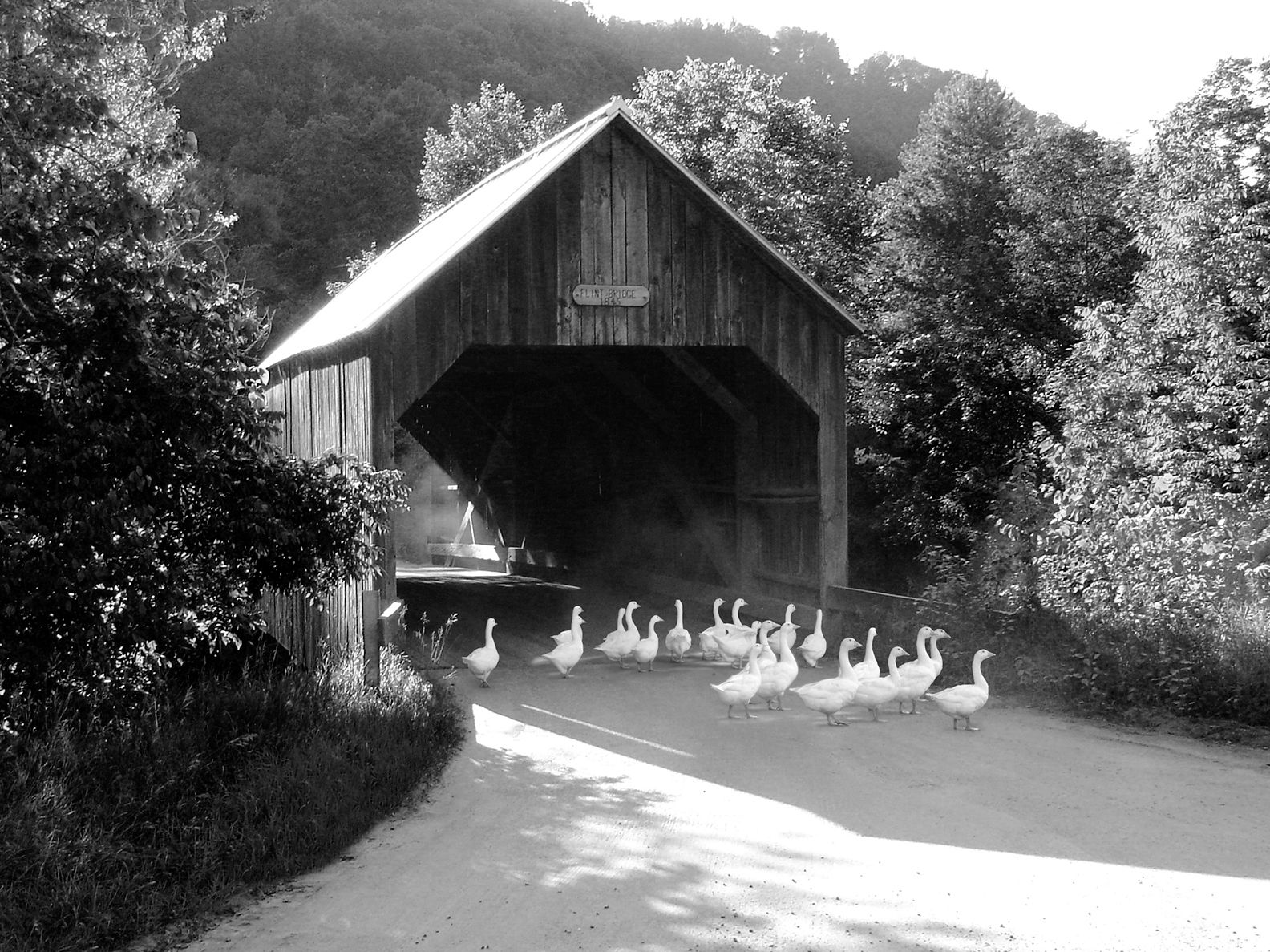 COLIN ART -472 WEB .JPG