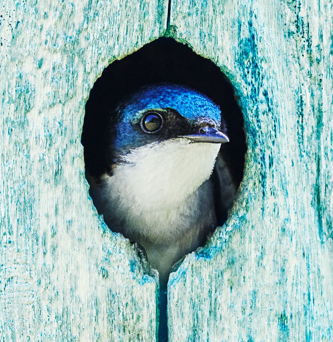 ColinErricson 73.JPG