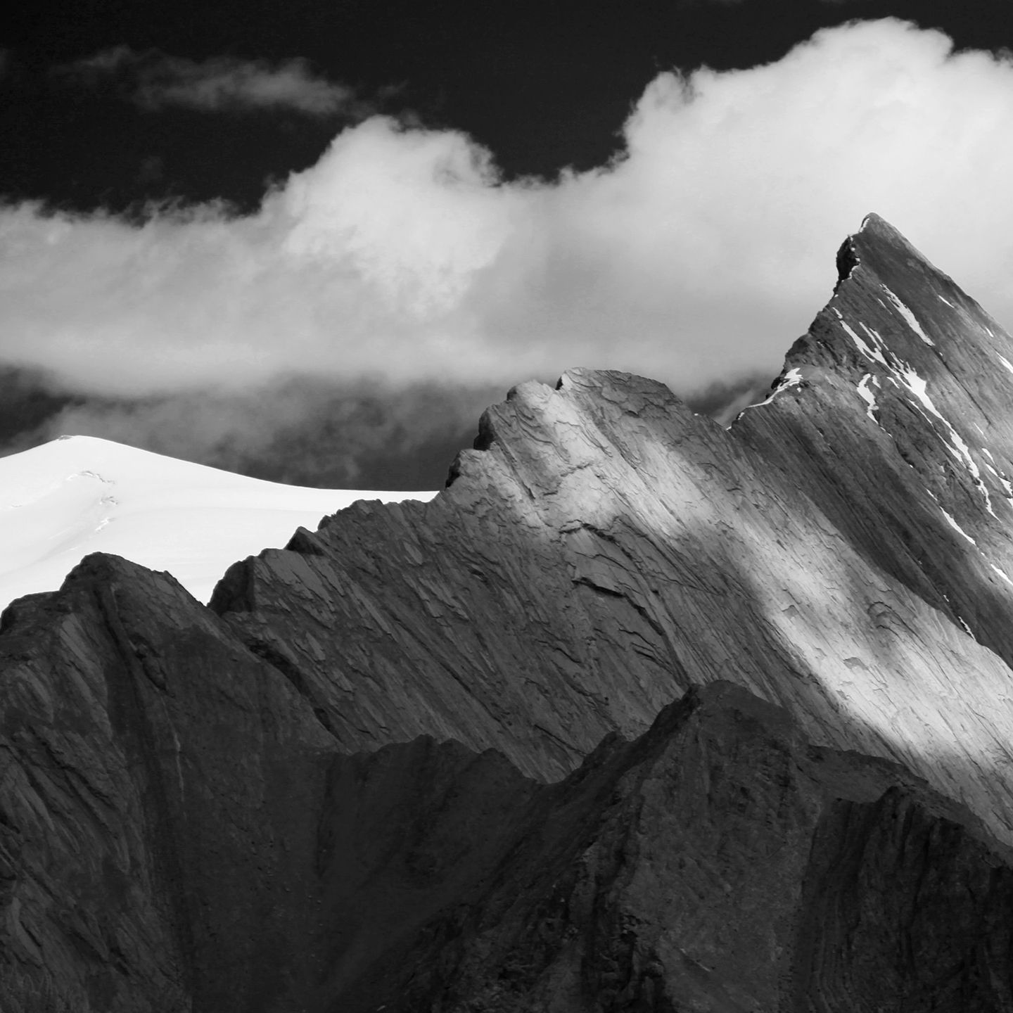 COLIN ART INSTA BW -297.JPG