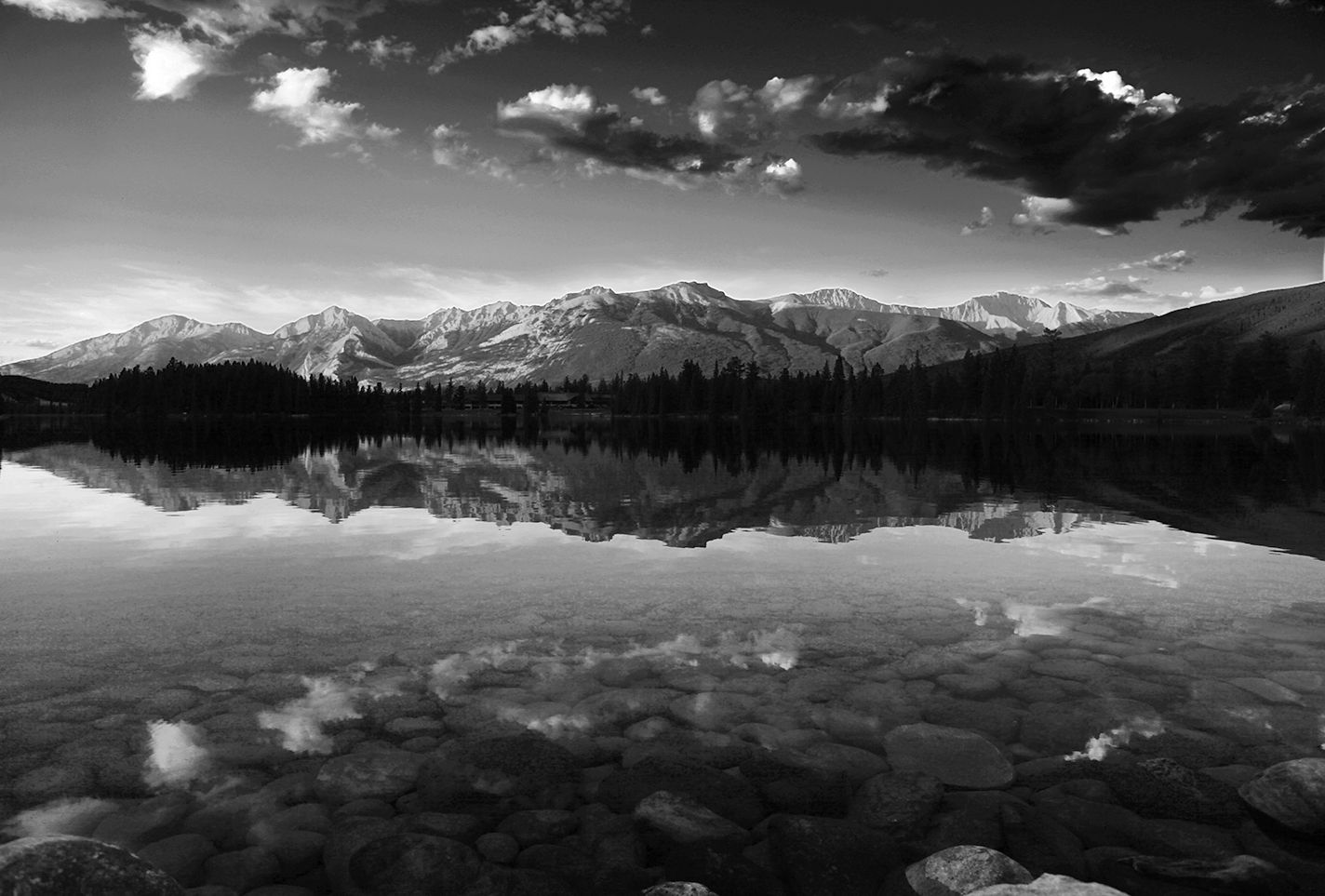 COLIN ART -591B copy2a copy.JPG