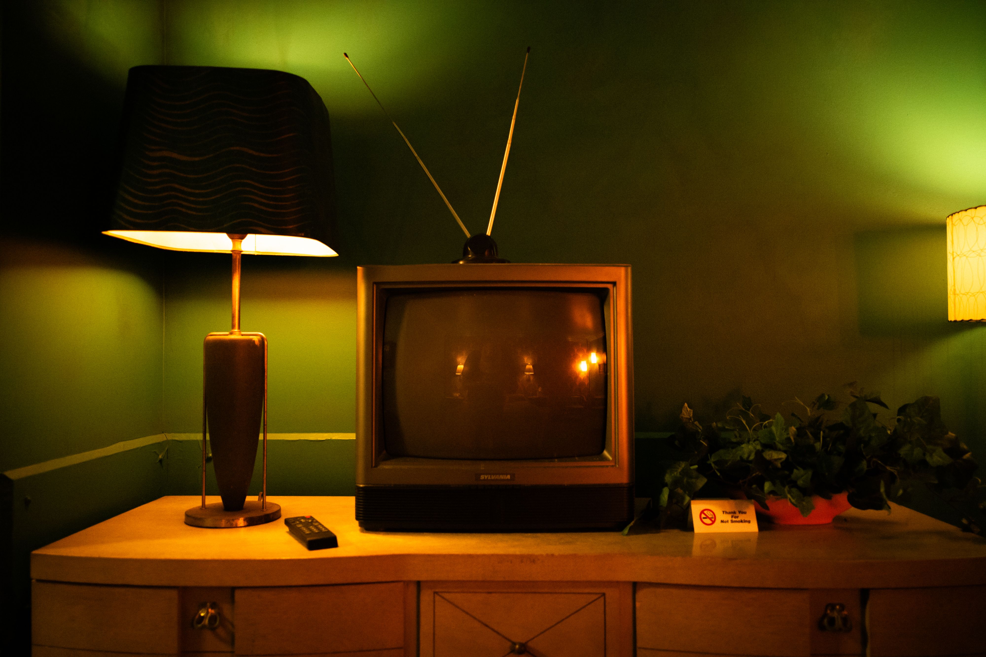 L1004804.jpg