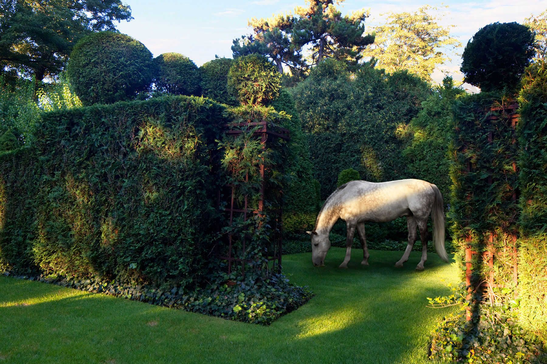 1henebry_lifestyle_29