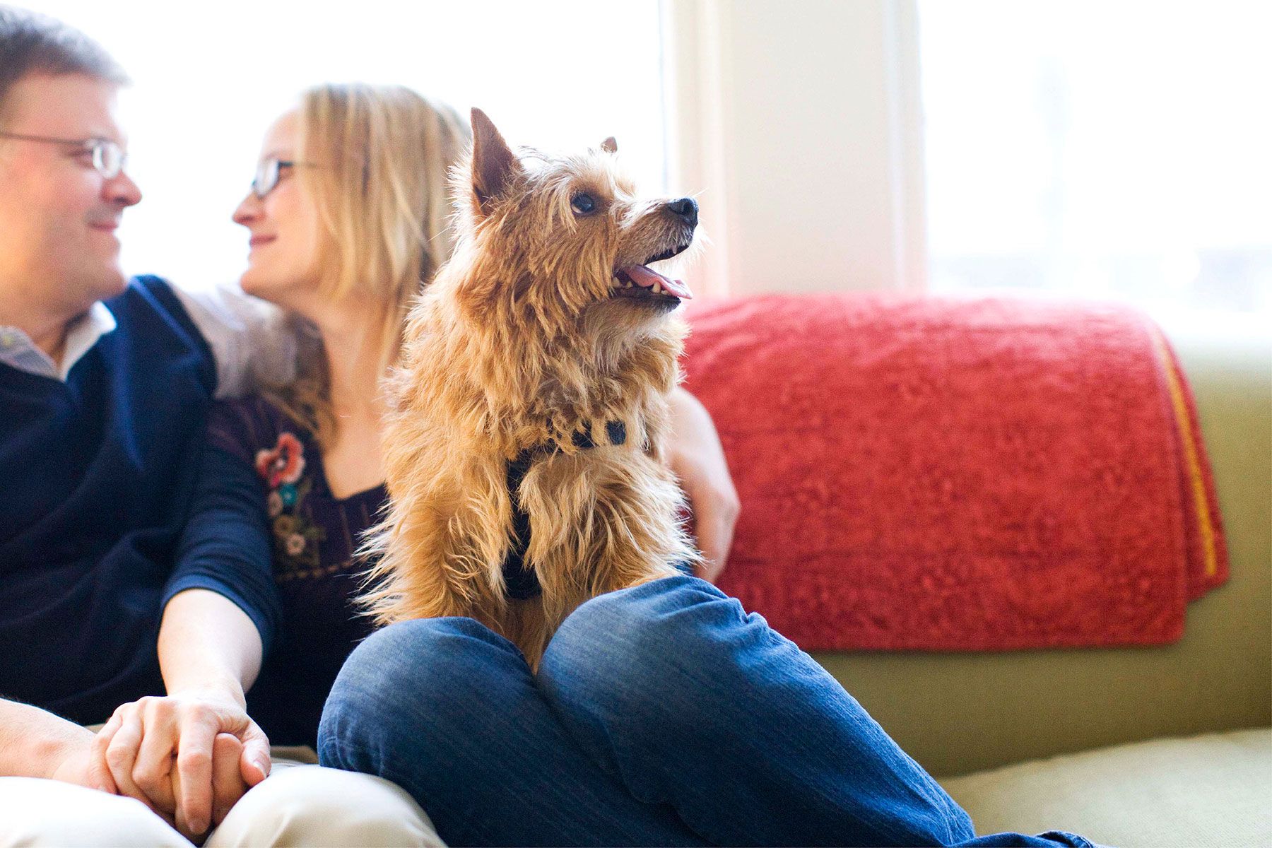 1henebry_lifestyle_14