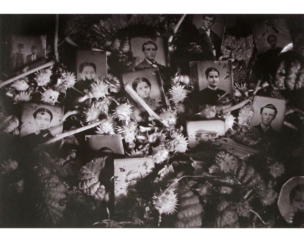 Phil Harris early photography - Phil Harris Photography