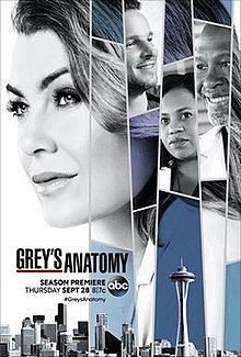 220px-Grey's_Anatomy_season_14_poster.jpg