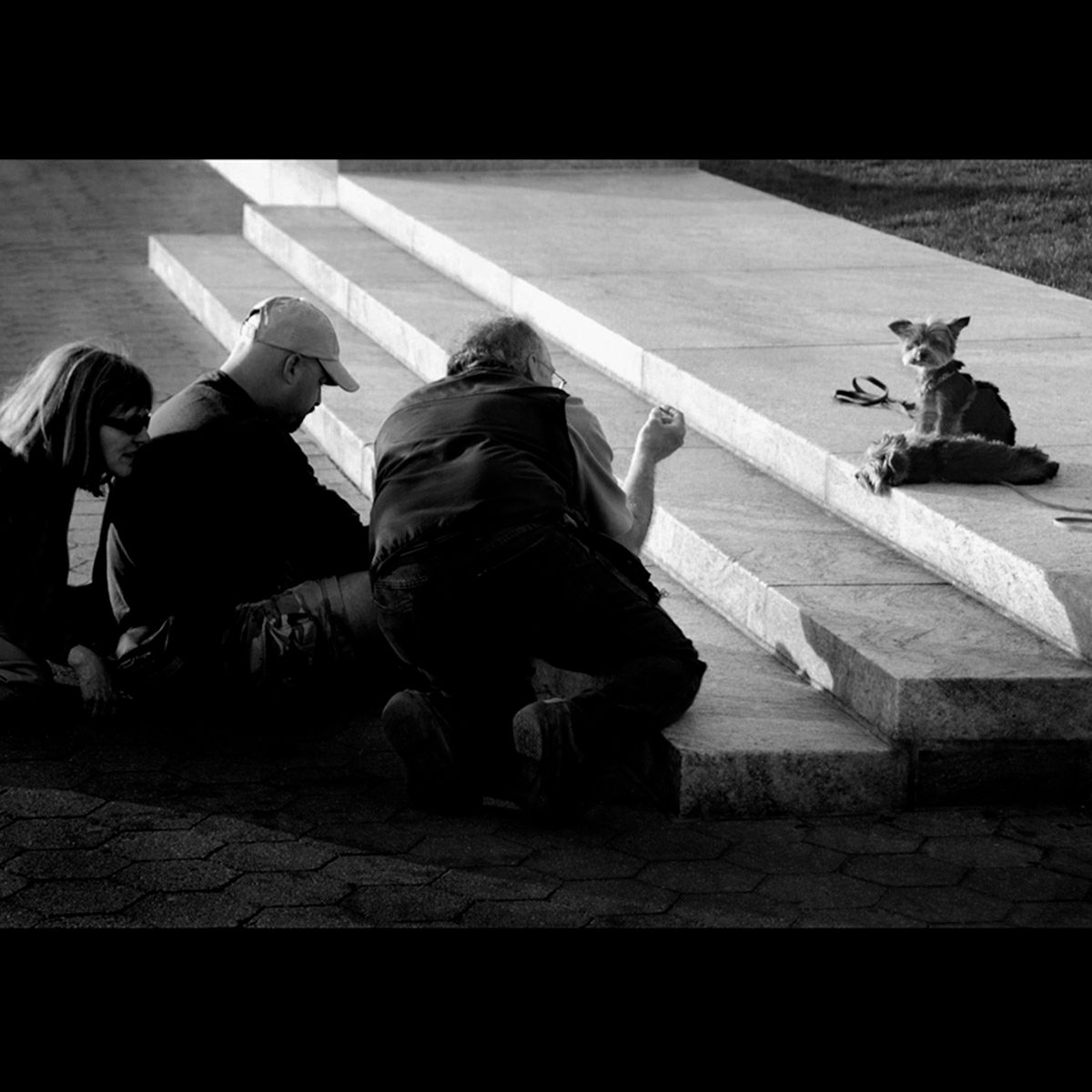 The Director and the Prima Donna