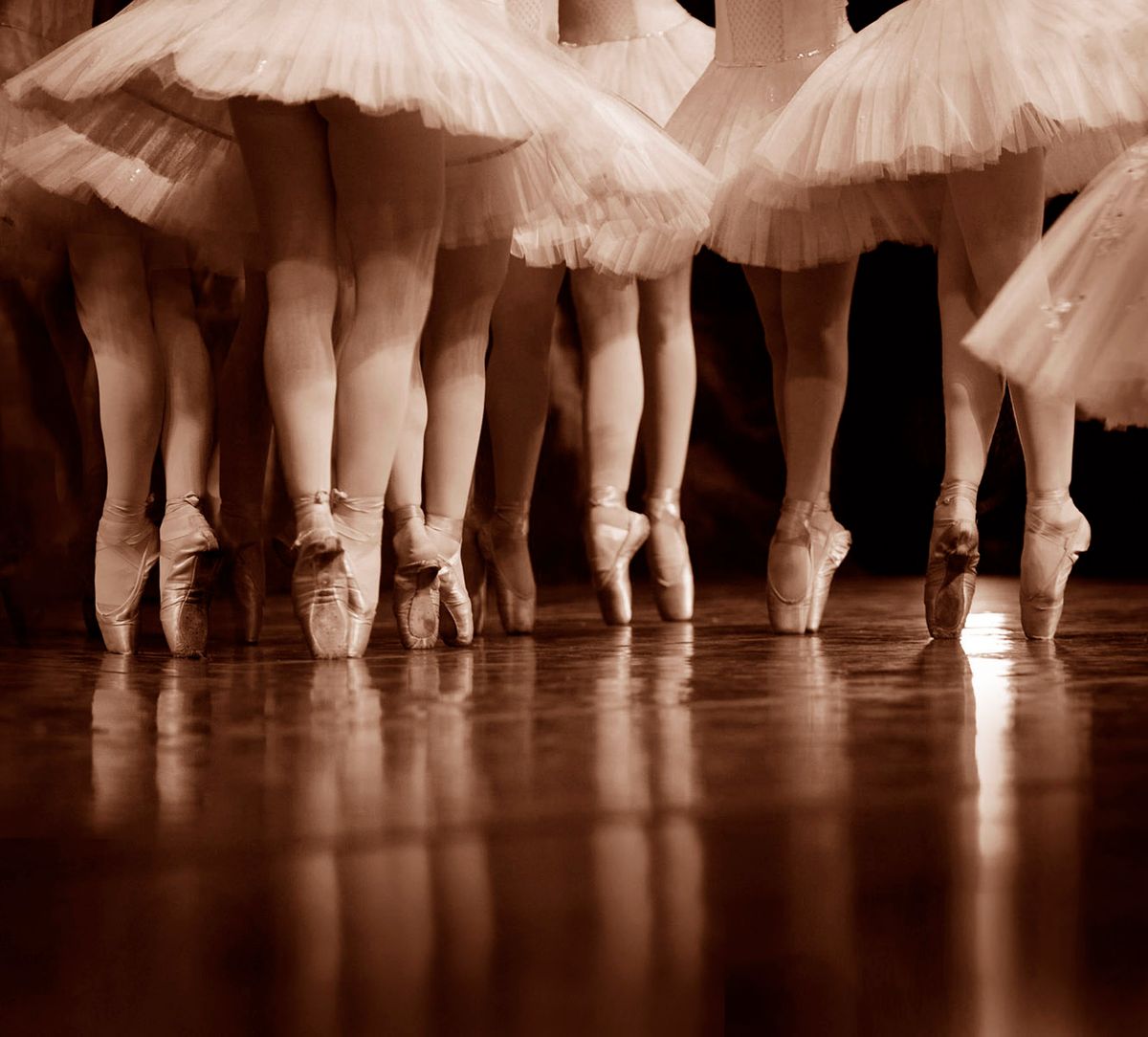 Bevy of Ballerinas